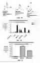 Fig. 03 - EFFICIENT INDUCTION OF PLURIPOTENT STEM CELLS USING SMALL MOLECULE COMPOUNDS