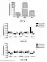 Fig. 15 - EFFICIENT INDUCTION OF PLURIPOTENT STEM CELLS USING SMALL MOLECULE COMPOUNDS