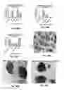 Fig. 24 - EFFICIENT INDUCTION OF PLURIPOTENT STEM CELLS USING SMALL MOLECULE COMPOUNDS