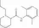 Fig. 83 - EFFICIENT INDUCTION OF PLURIPOTENT STEM CELLS USING SMALL MOLECULE COMPOUNDS