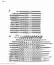 Fig. 03 - Methods of cleaving DNA with rationally-designed meganucleases