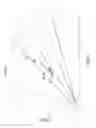 Fig. 09 - Method for the Evolutionary Design of Biochemical Reaction Networks