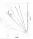 Fig. 11 - Method for the Evolutionary Design of Biochemical Reaction Networks