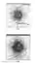 Fig. 09 - Method and system for crystallization and X-ray diffraction screening