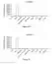 Fig. 09 - Markers for brain damage