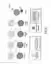 Fig. 04 - Methods for discretized processing and process sequence integration of regions of a substrate