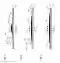 Fig. 03 - Deposition of viscous material