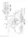 Fig. 07 - Front-opening and adjustable bra