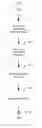 Fig. 01 - Method and system for simultaneous signal transmission on multiple selected frequencies
