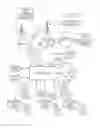 Fig. 06 - System and method for real time self-provisioning for a mobile communication device