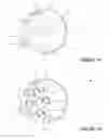 Fig. 03 - Automatic multi-speed gear system