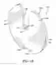 Fig. 13 - ADJUSTABLE DUMBBELL AND SYSTEM
