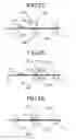 Fig. 14 - Creasing device, image forming system, and creasing method