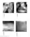 Fig. 02 - Hydrothermal performance of catalyst supports