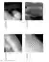 Fig. 03 - Hydrothermal performance of catalyst supports