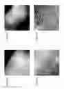 Fig. 05 - Hydrothermal performance of catalyst supports