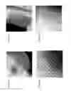 Fig. 08 - Hydrothermal performance of catalyst supports