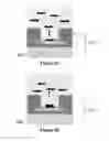 Fig. 04 - DNA sequencing and amplification systems using nanoscale field effect sensor arrays
