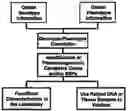 Fig. 01 - RADIATION THERAPY BIOMARKERS