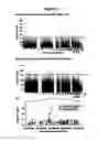 Fig. 06 - RADIATION THERAPY BIOMARKERS