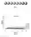 Fig. 15 - Translation-coupling systems