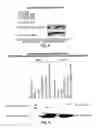 Fig. 06 - DETECTION AND MODULATION OF CYTOCHROME C ACETYLATION