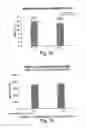 Fig. 21 - DETECTION AND MODULATION OF CYTOCHROME C ACETYLATION