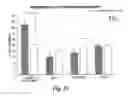 Fig. 28 - DETECTION AND MODULATION OF CYTOCHROME C ACETYLATION