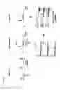 Fig. 10 - Multiplex Nucleic Acid Detection