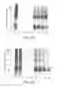 Fig. 23 - Multiplexed olfactory receptor-based microsurface plasmon polariton detector