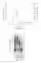 Fig. 24 - Multiplexed olfactory receptor-based microsurface plasmon polariton detector