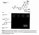 Fig. 12 - SMALL MOLECULE PRINTING