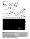 Fig. 13 - SMALL MOLECULE PRINTING