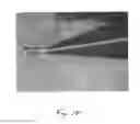 Fig. 19 - SMALL MOLECULE PRINTING