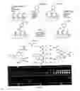 Fig. 20 - SMALL MOLECULE PRINTING