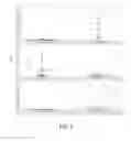 Fig. 03 - BIOMARKERS FOR DENGUE