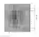 Fig. 13 - BIOMARKERS FOR DENGUE