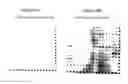 Fig. 18 - Method for detecting transcription factor-protein interactions