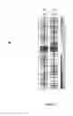 Fig. 04 - METHOD FOR PROFILING DRUG COMPOUNDS USING  PROTEIN KINASE INHIBITORS