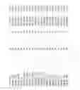 Fig. 112 - MULTIPLE GENETIC DISEASE DIAGNOSTIC PANELS BY ONE SINGLE TEST USING MICROARRAY TECHNOLOGY