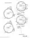Fig. 03 - Surface display of whole antibodies in eukaryotes