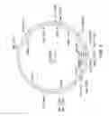 Fig. 10 - Surface display of whole antibodies in eukaryotes