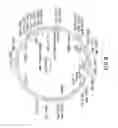 Fig. 11 - Surface display of whole antibodies in eukaryotes