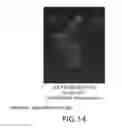Fig. 17 - Surface display of whole antibodies in eukaryotes