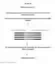 Fig. 03 - Methylation Ligation-Dependent Macroarray (MLM)