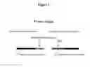 Fig. 04 - Methylation Ligation-Dependent Macroarray (MLM)
