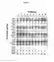 Fig. 06 - Methylation Ligation-Dependent Macroarray (MLM)