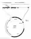 Fig. 02 - Expression Vector