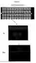 Fig. 38 - Apparatus for assay, synthesis and storage, and methods of manufacture, use, and manipulation thereof