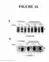 Fig. 17 - Rapid Subcloning Using Site-Specific Recombination